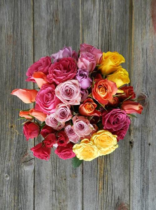 Assorted Spray Roses